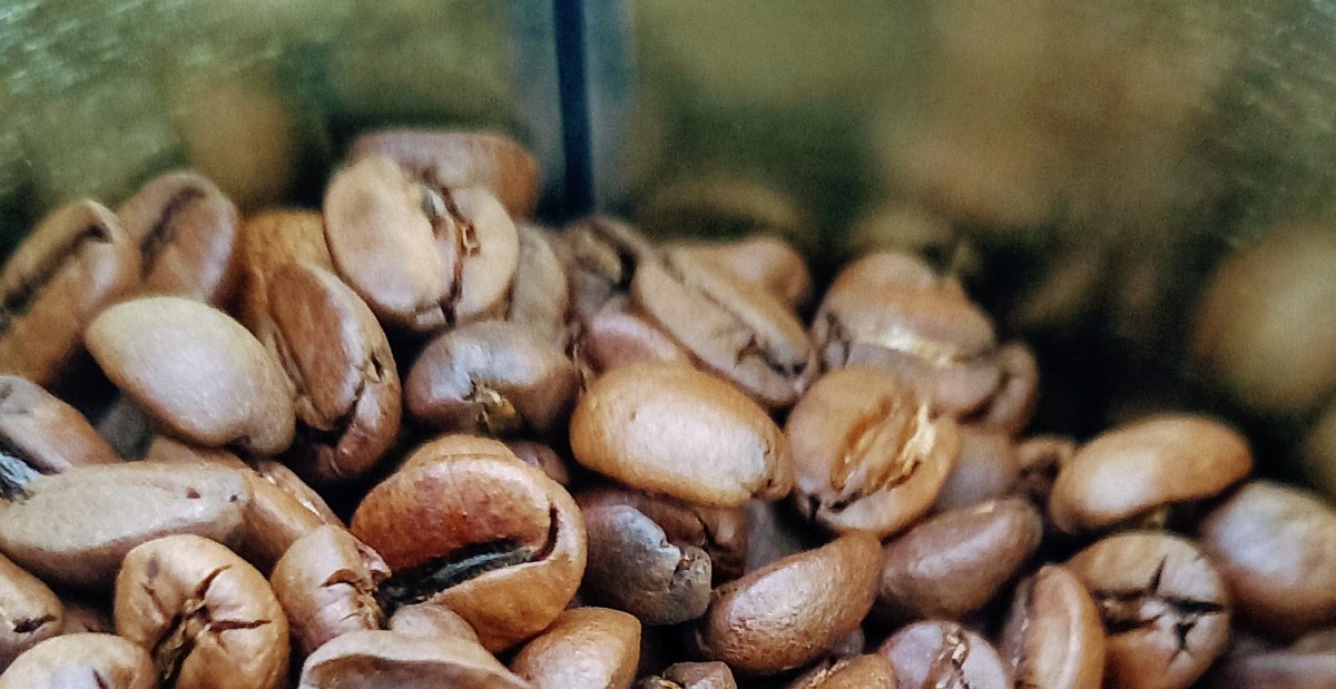 experimentei congelar café pra durar&nbsp;mais