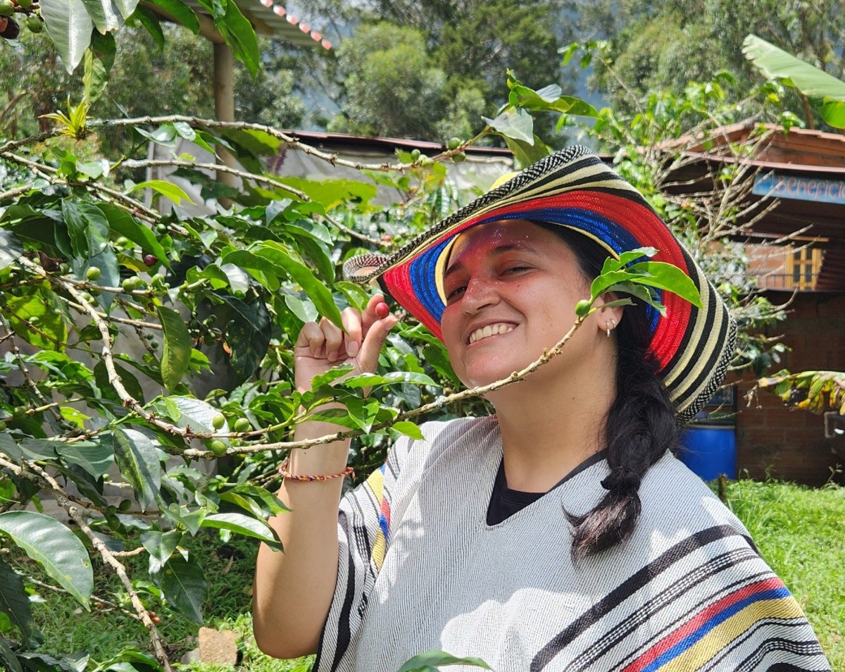Tour em fazenda de café na Colômbia: tudo que eu vi e o que&nbsp;achei